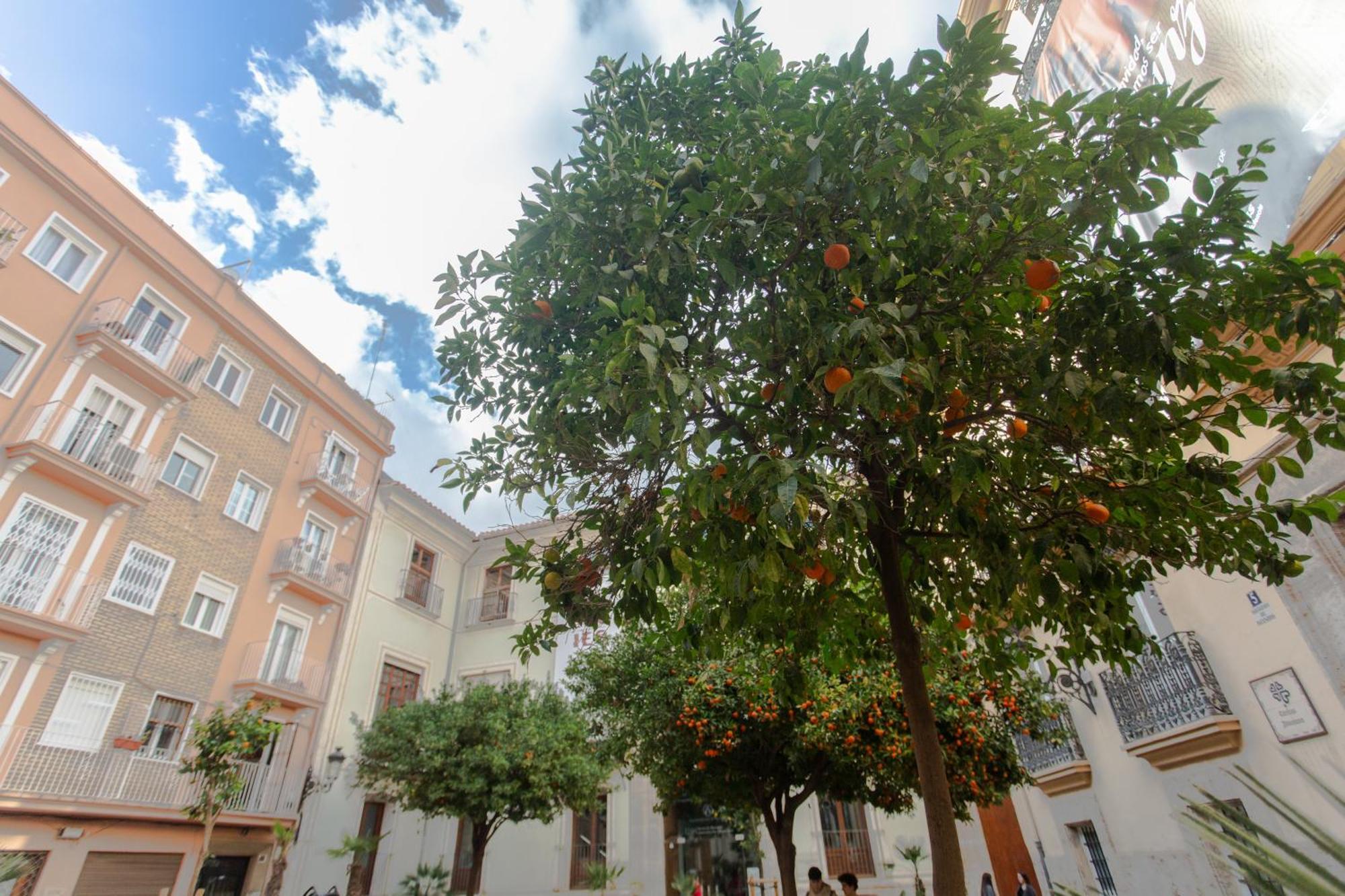 Vlc - Tranquilo Apartamento En Plaza Cisneros Валенсія Екстер'єр фото