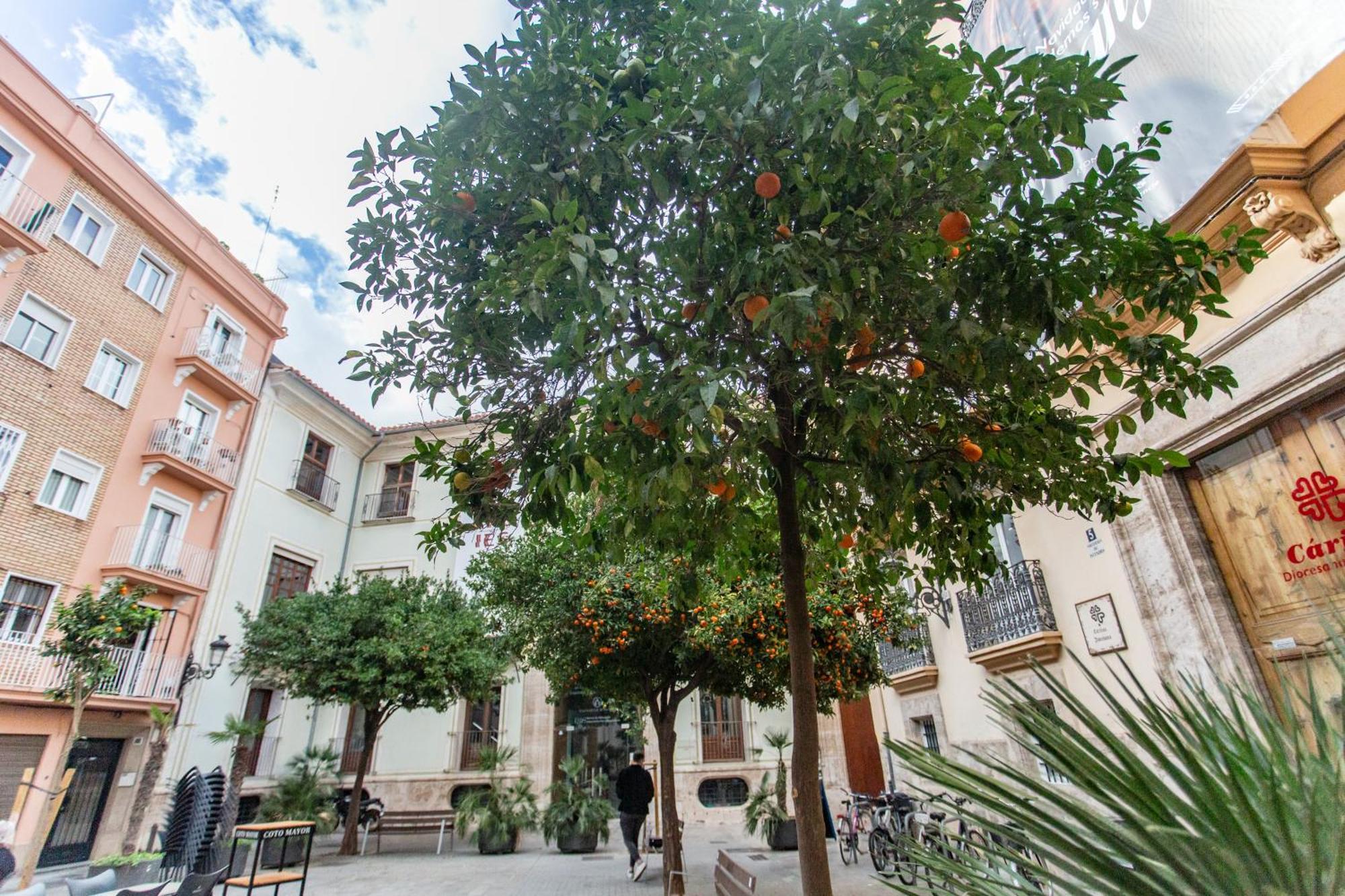 Vlc - Tranquilo Apartamento En Plaza Cisneros Валенсія Екстер'єр фото